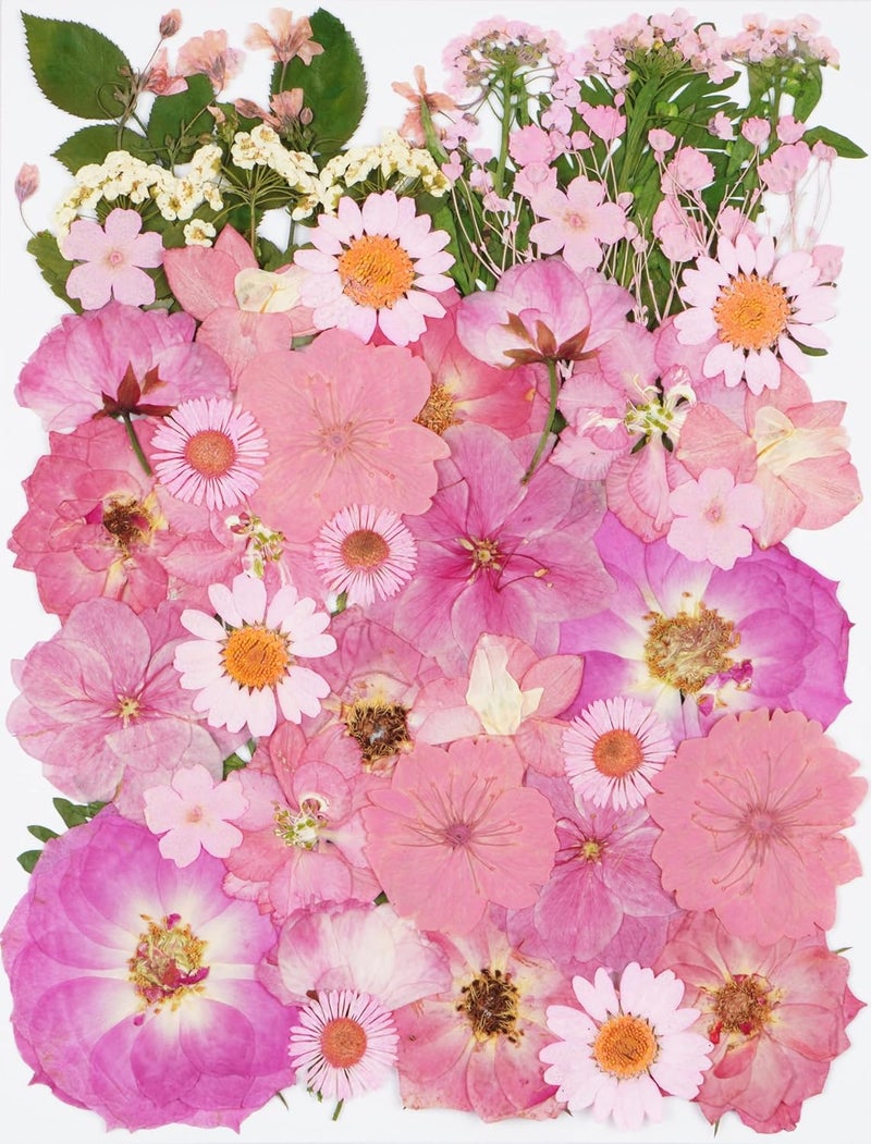Xinxinran 50Pcs Large Pink Dried Pressed Flowers for Crafts, Dry Flowers Kit for Resin Molds,Epoxy Resin Accessories,Bookmark,Nails, Jewelry Molds,Candle Making Supplies,Soap,Frame,Cakes - Image 1